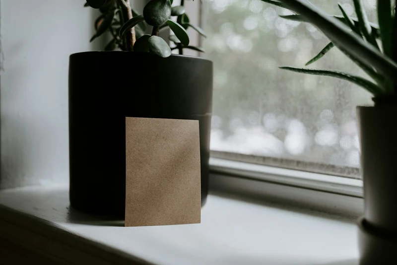 Plain kraft paper card standing against a dark planter on a windowsill (demo photo)