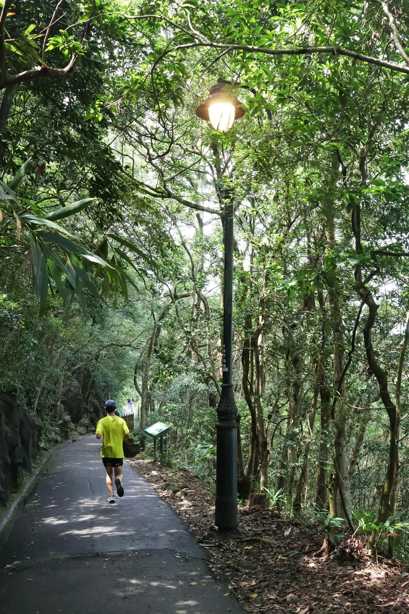 Runner in a yellow tee on a paved path through a forest (demo photo)